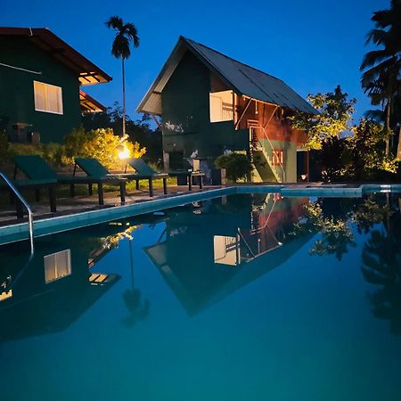 Rainforest Mount Lodge دينيايا المظهر الخارجي الصورة