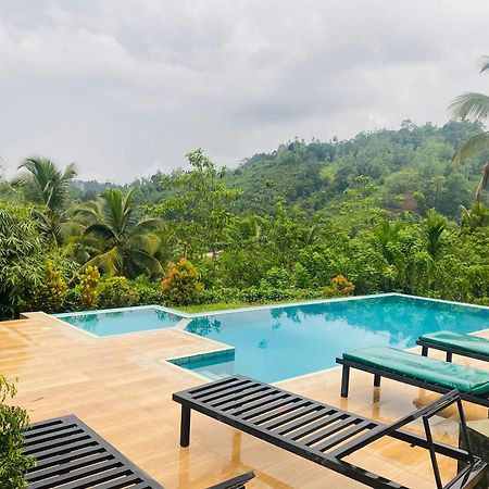 Rainforest Mount Lodge دينيايا المظهر الخارجي الصورة