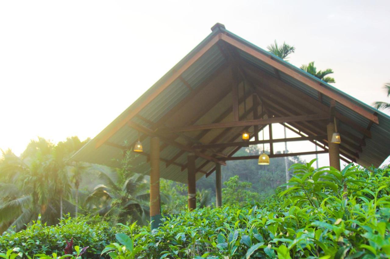 Rainforest Mount Lodge دينيايا المظهر الخارجي الصورة