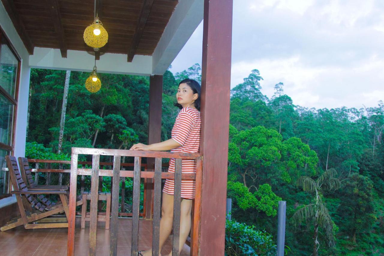 Rainforest Mount Lodge دينيايا المظهر الخارجي الصورة