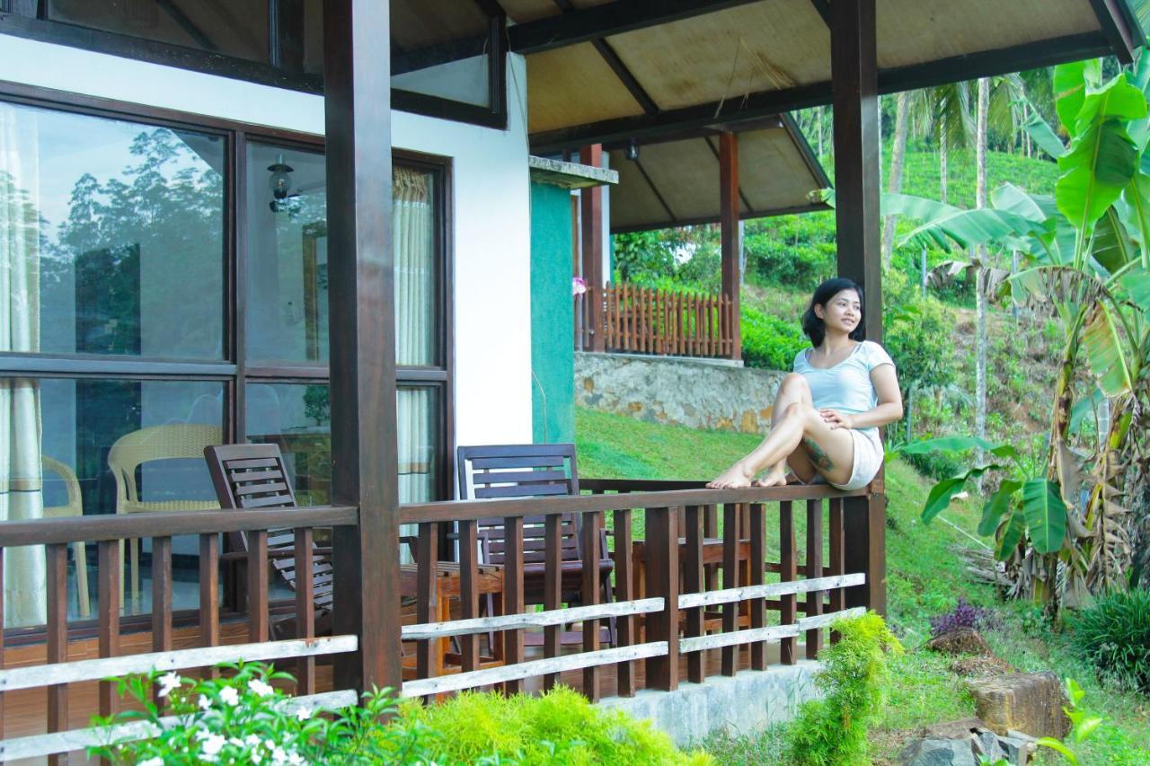 Rainforest Mount Lodge دينيايا المظهر الخارجي الصورة