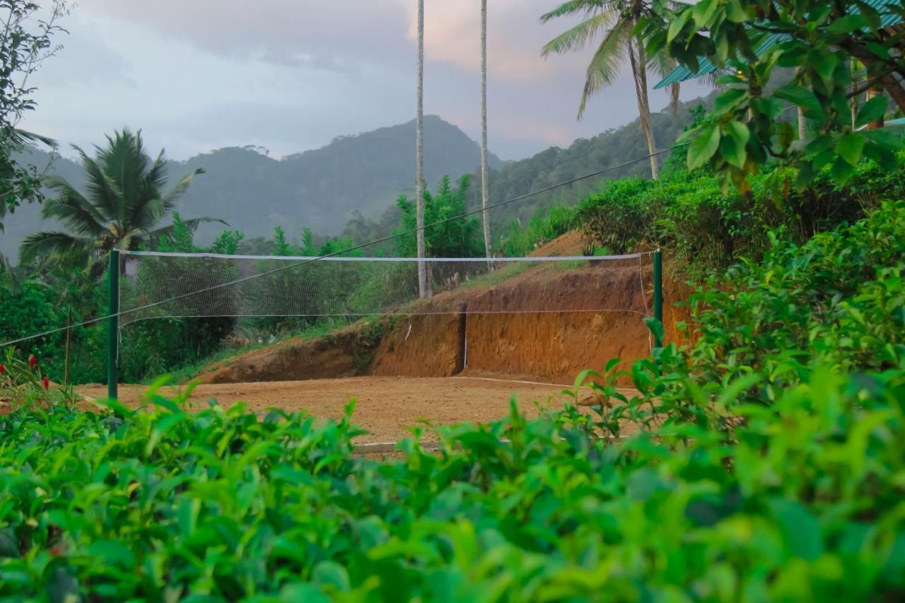 Rainforest Mount Lodge دينيايا المظهر الخارجي الصورة