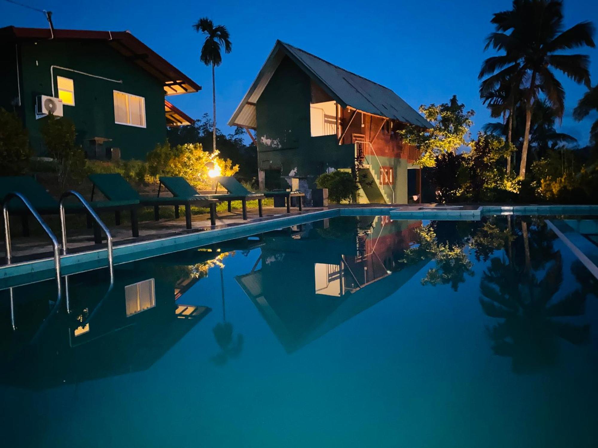 Rainforest Mount Lodge دينيايا المظهر الخارجي الصورة