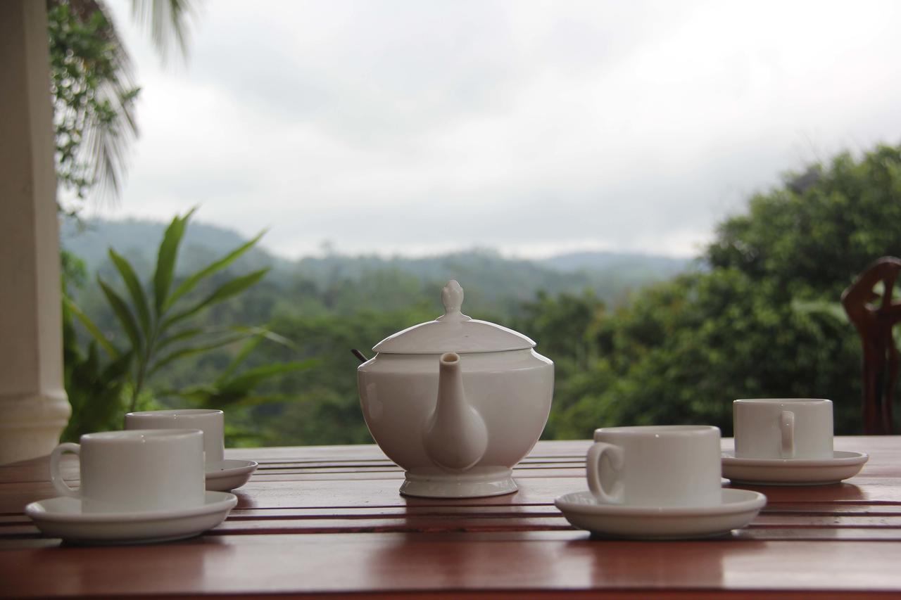 Rainforest Mount Lodge دينيايا المظهر الخارجي الصورة