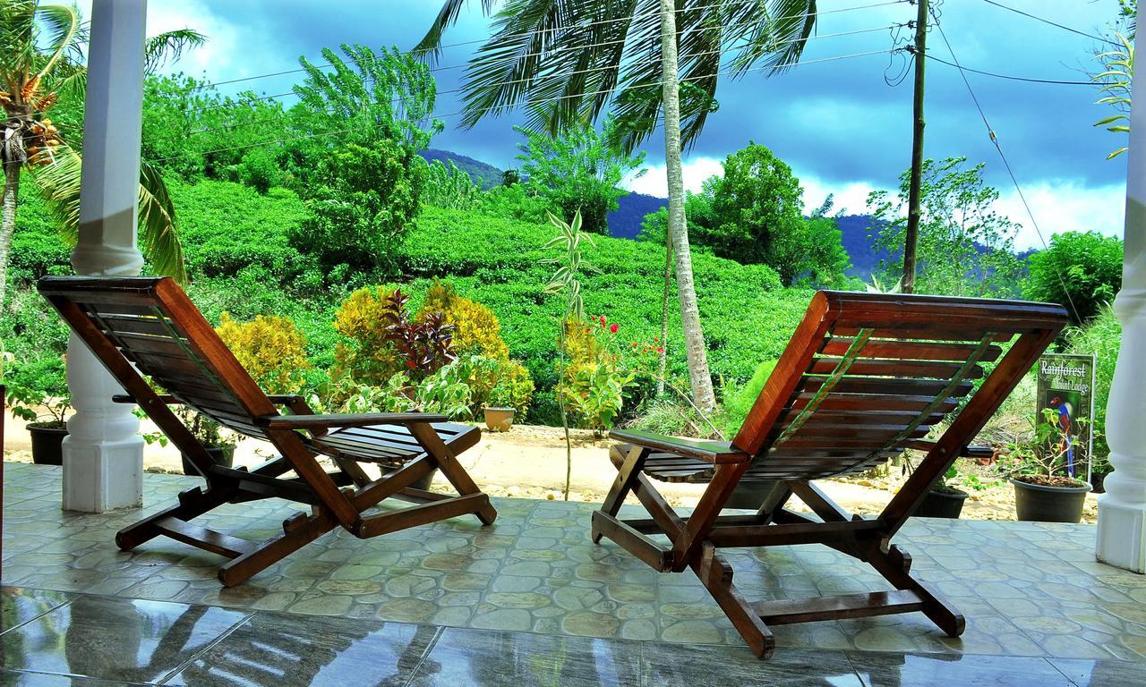 Rainforest Mount Lodge دينيايا المظهر الخارجي الصورة