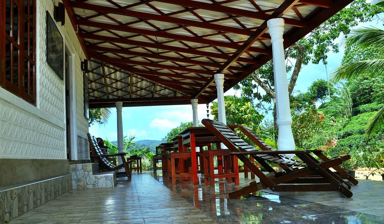 Rainforest Mount Lodge دينيايا المظهر الخارجي الصورة