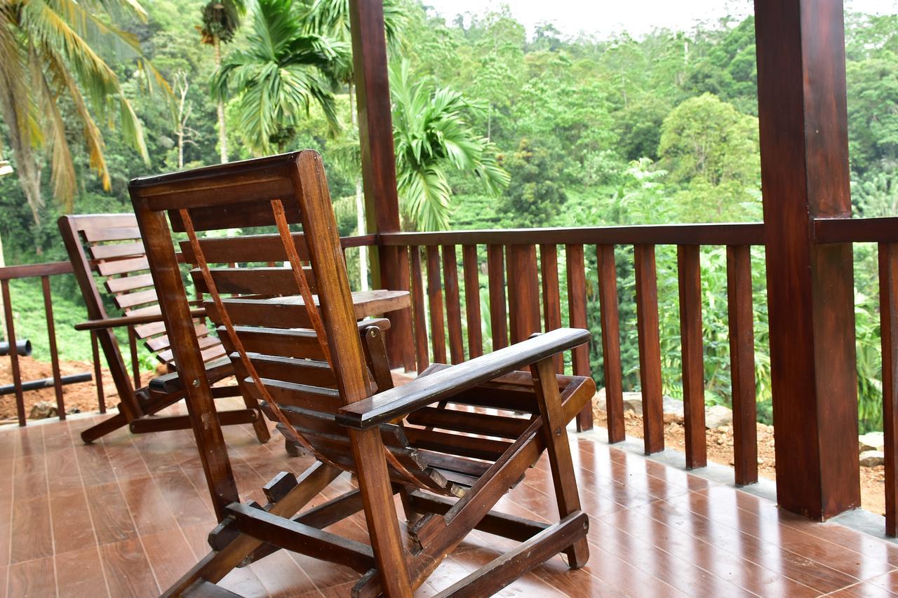 Rainforest Mount Lodge دينيايا المظهر الخارجي الصورة