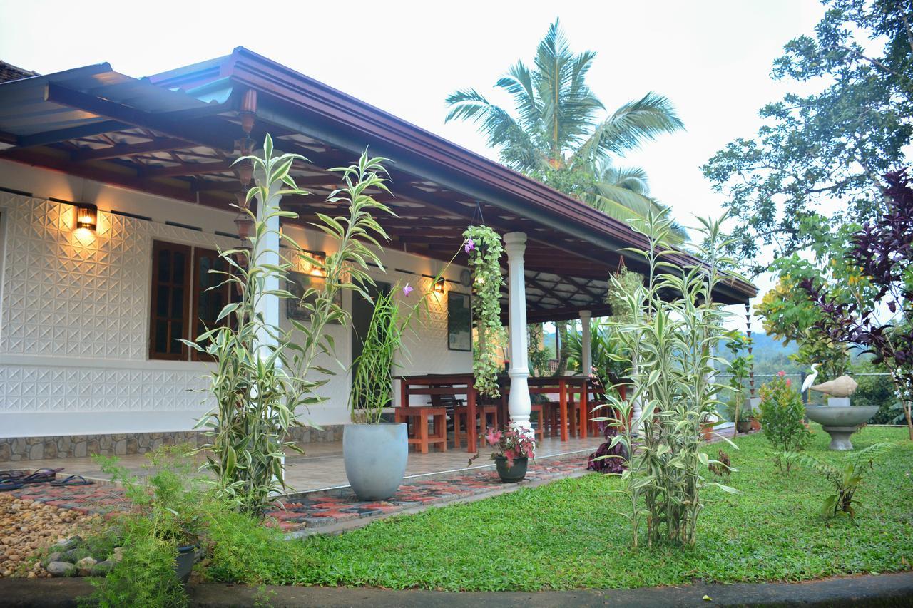 Rainforest Mount Lodge دينيايا المظهر الخارجي الصورة