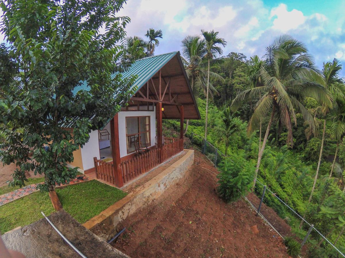 Rainforest Mount Lodge دينيايا المظهر الخارجي الصورة