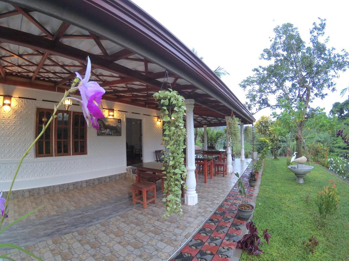 Rainforest Mount Lodge دينيايا المظهر الخارجي الصورة