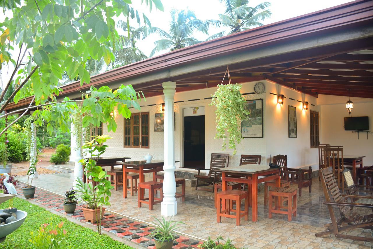 Rainforest Mount Lodge دينيايا المظهر الخارجي الصورة
