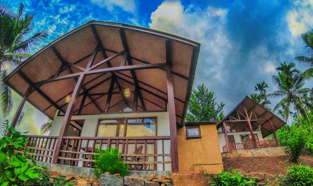 Rainforest Mount Lodge دينيايا المظهر الخارجي الصورة