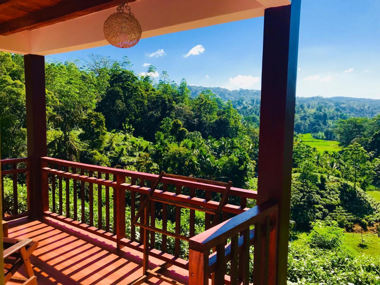Rainforest Mount Lodge دينيايا المظهر الخارجي الصورة