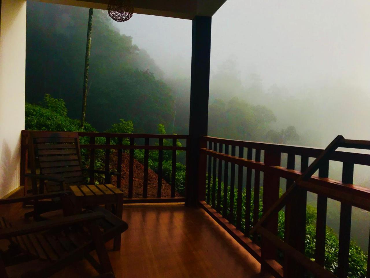 Rainforest Mount Lodge دينيايا المظهر الخارجي الصورة