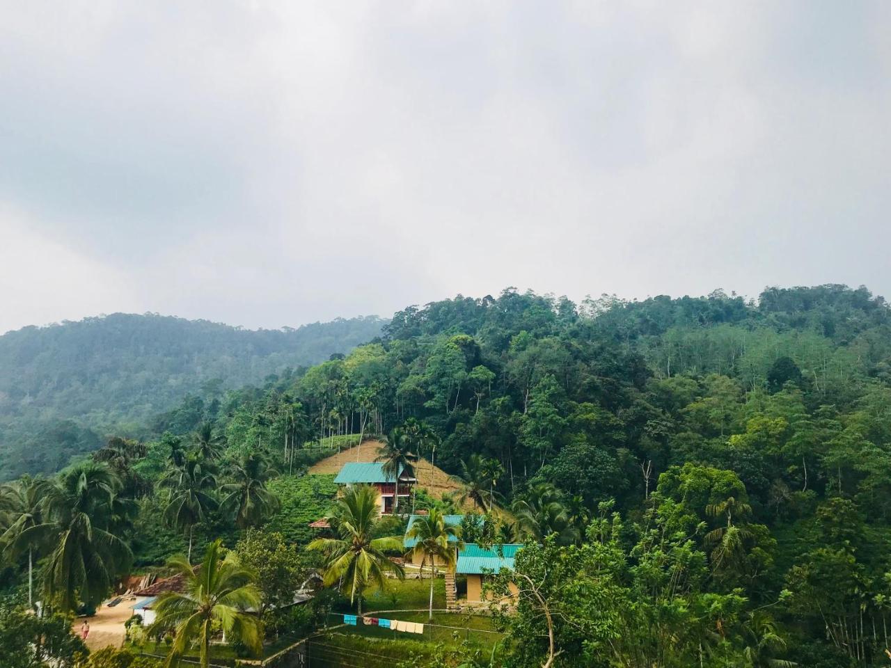 Rainforest Mount Lodge دينيايا المظهر الخارجي الصورة