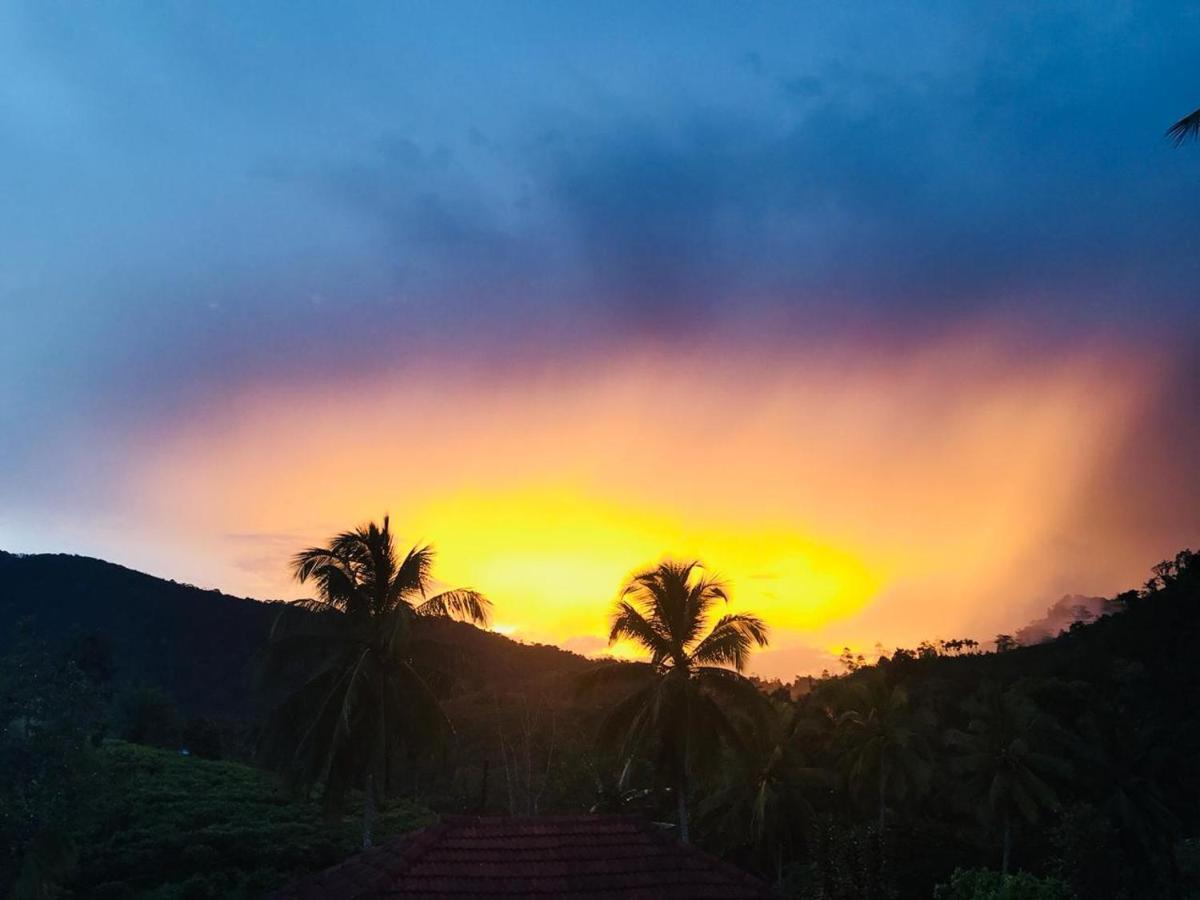 Rainforest Mount Lodge دينيايا المظهر الخارجي الصورة