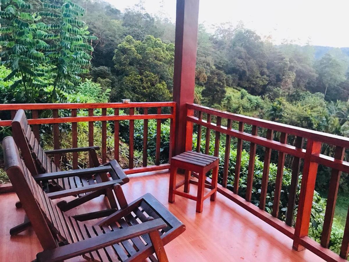 Rainforest Mount Lodge دينيايا المظهر الخارجي الصورة