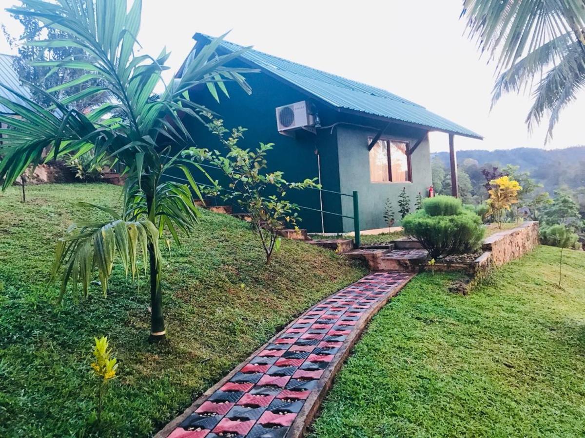 Rainforest Mount Lodge دينيايا المظهر الخارجي الصورة