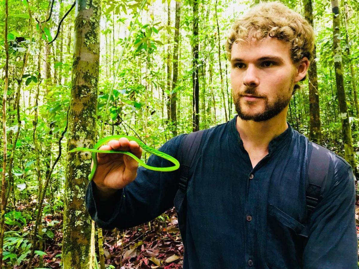 Rainforest Mount Lodge دينيايا المظهر الخارجي الصورة