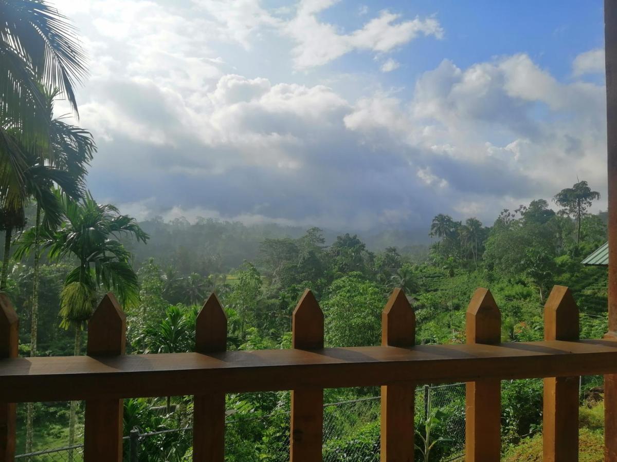 Rainforest Mount Lodge دينيايا المظهر الخارجي الصورة